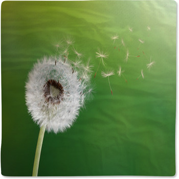 Dandelion Clock In Morning Sun Baby Blanket