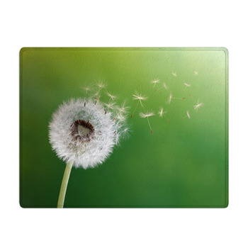 Dandelion Clock In Morning Sun Bath Mat