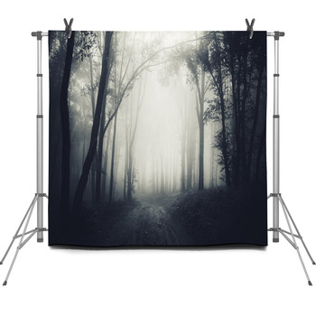Dark Forest Fog Fleece Backdrop