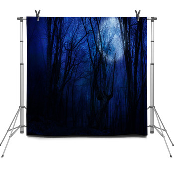 Dark Night Forest Agaist Full Moon Fleece Backdrop