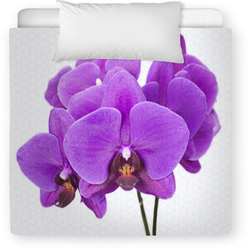 Dark Purple Orchid Isolated On White Toddler Duvet
