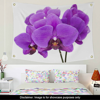 Purple floral Wall Decor in Canvas, Murals, Tapestries, Posters & More