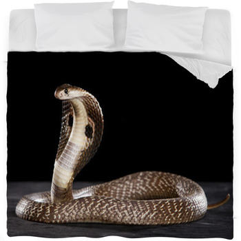 Snake Comforters Duvets Sheets Sets, Snake Print Duvet Cover
