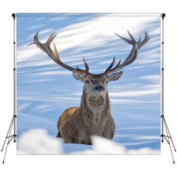 Deer On The Snow Background Fleece Backdrop