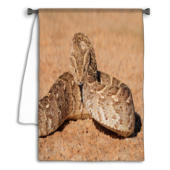Defensive Puff Adder, Kalahari Desert Towel