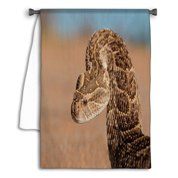 Defensive Puff Adder Towel