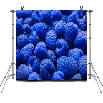 Delicious Fresh Ripe Raspberries As Fleece Backdrop