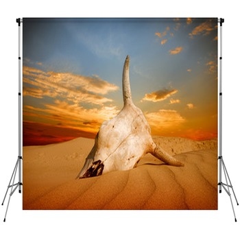 Desert Backdrops