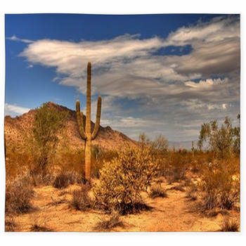 Desert Mountain Custom Size Floor Mat