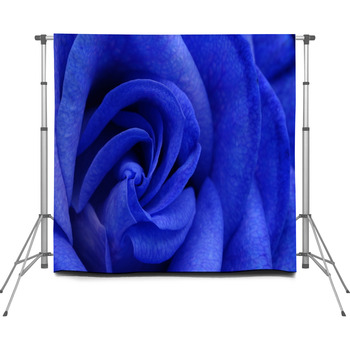 Details Of Blue Flower Rose Custom Size Backdrop