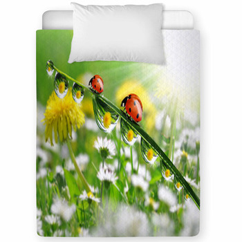 Dew Drops With Ladybugs Toddler Comforter