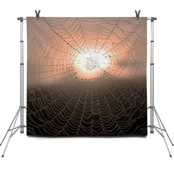 Dew On Spider Web With Lighting Of Sun Fleece Backdrop