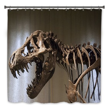 Dinosaur Bath Decor