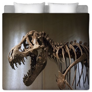 Dinosaur Bedding