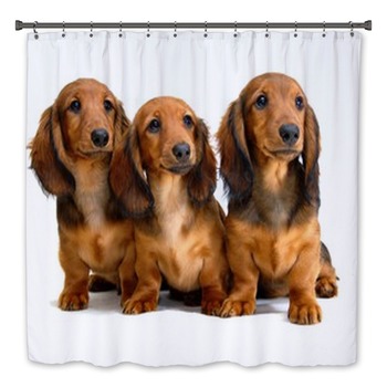 Dog Bath Decor