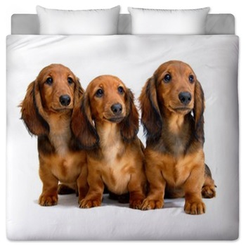Dog Bedding