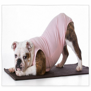 Dog Doing Yoga Custom Size Floor Mat