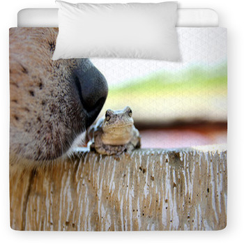 Dog Nose Sniffing Tree Frog Outside Toddler Comforter