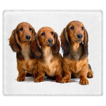 Dog Rugs