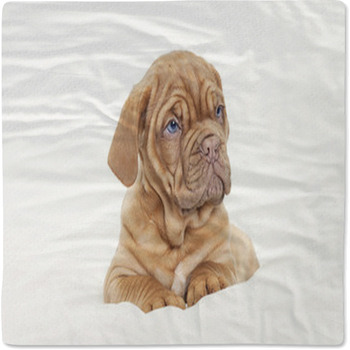 Dogue De Bordeaux Puppy (French Mastiff) Baby Blanket
