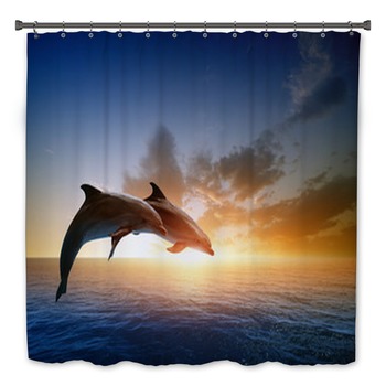 Dolphin Bath Decor