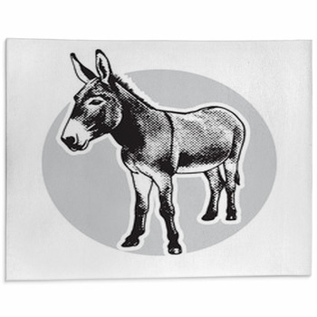 Donkey Black And White Portrait In Front View Area Rug