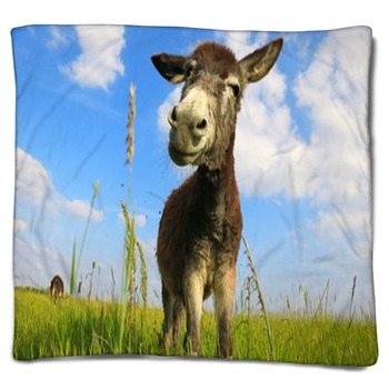 Donkey Blankets