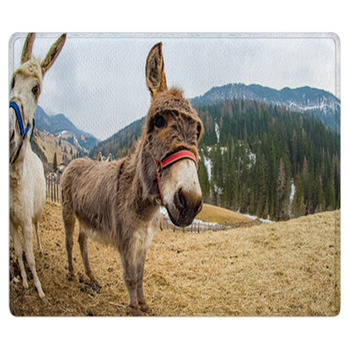 Donkey Close Up Portrait Looking At You Area Rug