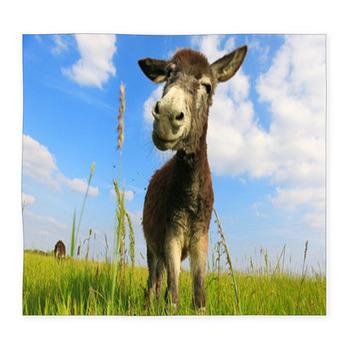 Donkey In A Field In Sunny Day Custom Size Floor Mat