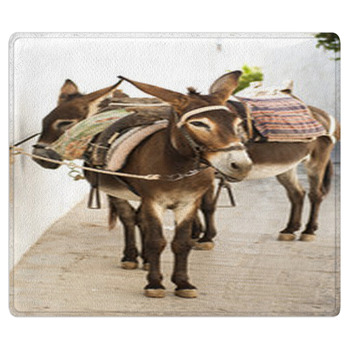 Donkeys In Lindos, Greece Area Rug