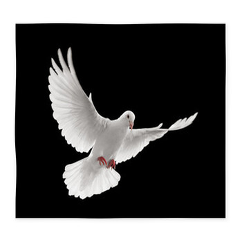 Dove Flying Custom Size Floor Mat