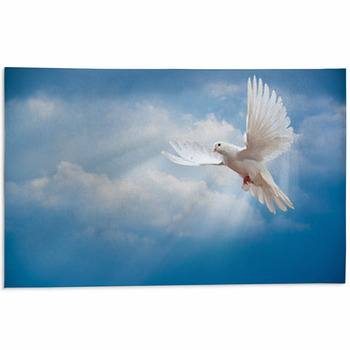 Dove In The Air With Wings Wide Open Area Rug