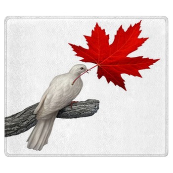 Dove Rugs