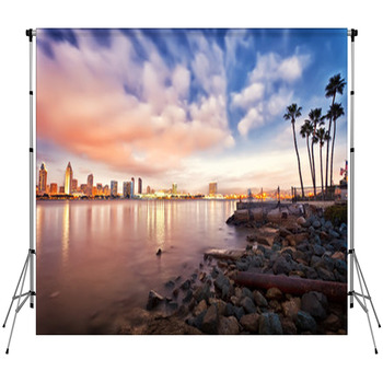 Downtown San Diego At Night Custom Size Backdrop