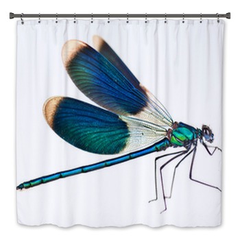 Dragonfly Bath Decor