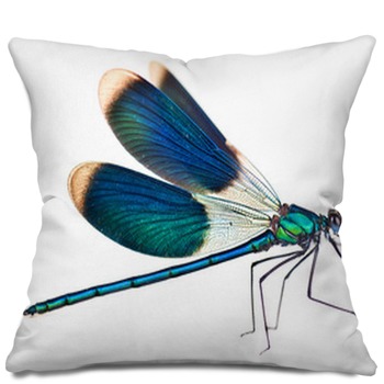 Dragonfly Pillows