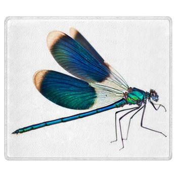 Dragonfly Rugs