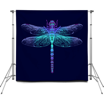 Dragonfly 6x8 FT Backdrop Photographers,Grunge Vintage Old Backdrop and Dragonfly Bug Ombre Image Background for Baby Birthday Party Wedding Vinyl Studio Props Photography Dark Blue Turquoise and Bla 