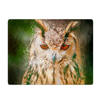 Drawn Owl Portrait Bath Mat