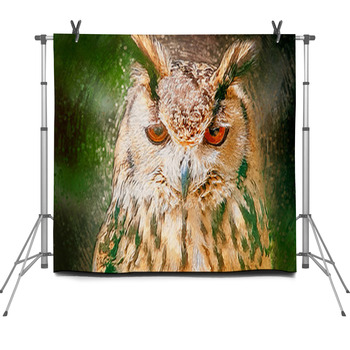 Drawn Owl Portrait Fleece Backdrop