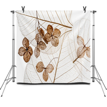 Dry Flowers Close Up In The Detail Fleece Backdrop