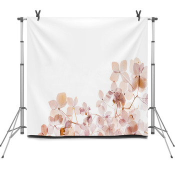 Dry Hydrangea Fleece Backdrop