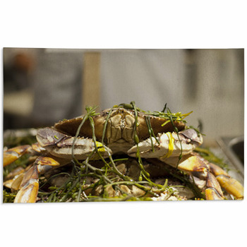 Dungeness Crab From Local Fisherman Market Area Rug