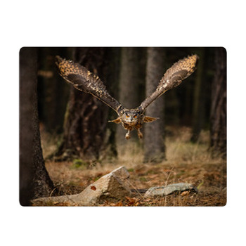 Eagle Owl Swoops In Low Hunting Bath Mat