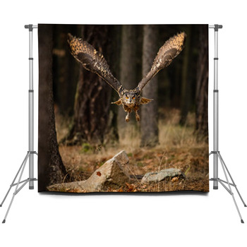 Eagle Owl Swoops In Low Hunting Custom Size Backdrop