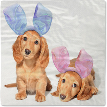 Easter Bunny Puppies Baby Blanket