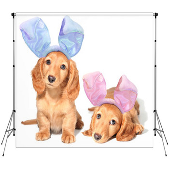 Easter Bunny Puppies Fleece Backdrop
