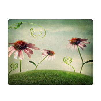 Echinacea Flowers In Fantasy Landscape Bath Mat
