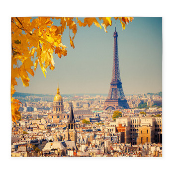 Eiffel Tower Custom Size Floor Mat