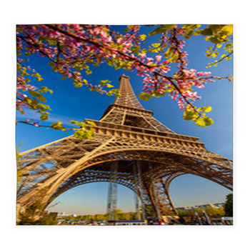 Eiffel Tower During Spring Time In  Custom Size Floor Mat